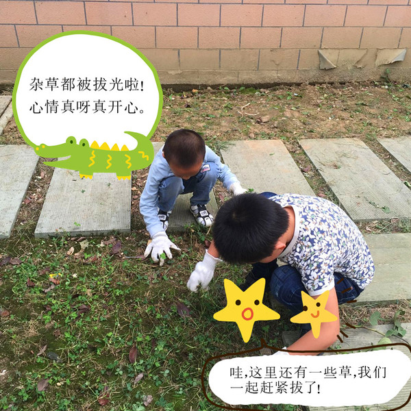 9月精彩瞬间 我爱劳动:除草 - 江阴市新桥实验幼儿园